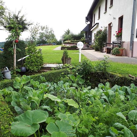 Ferienwohnung Huegelhaus Plutscheid Экстерьер фото